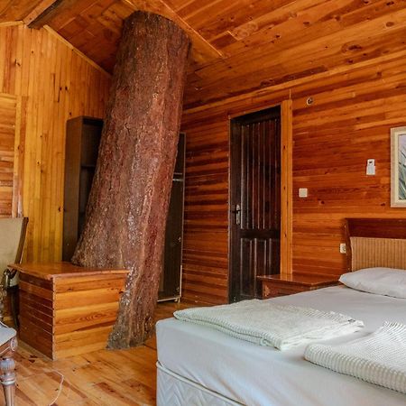 Kadir'S Top Tree Houses โอลิมปอส ภายนอก รูปภาพ