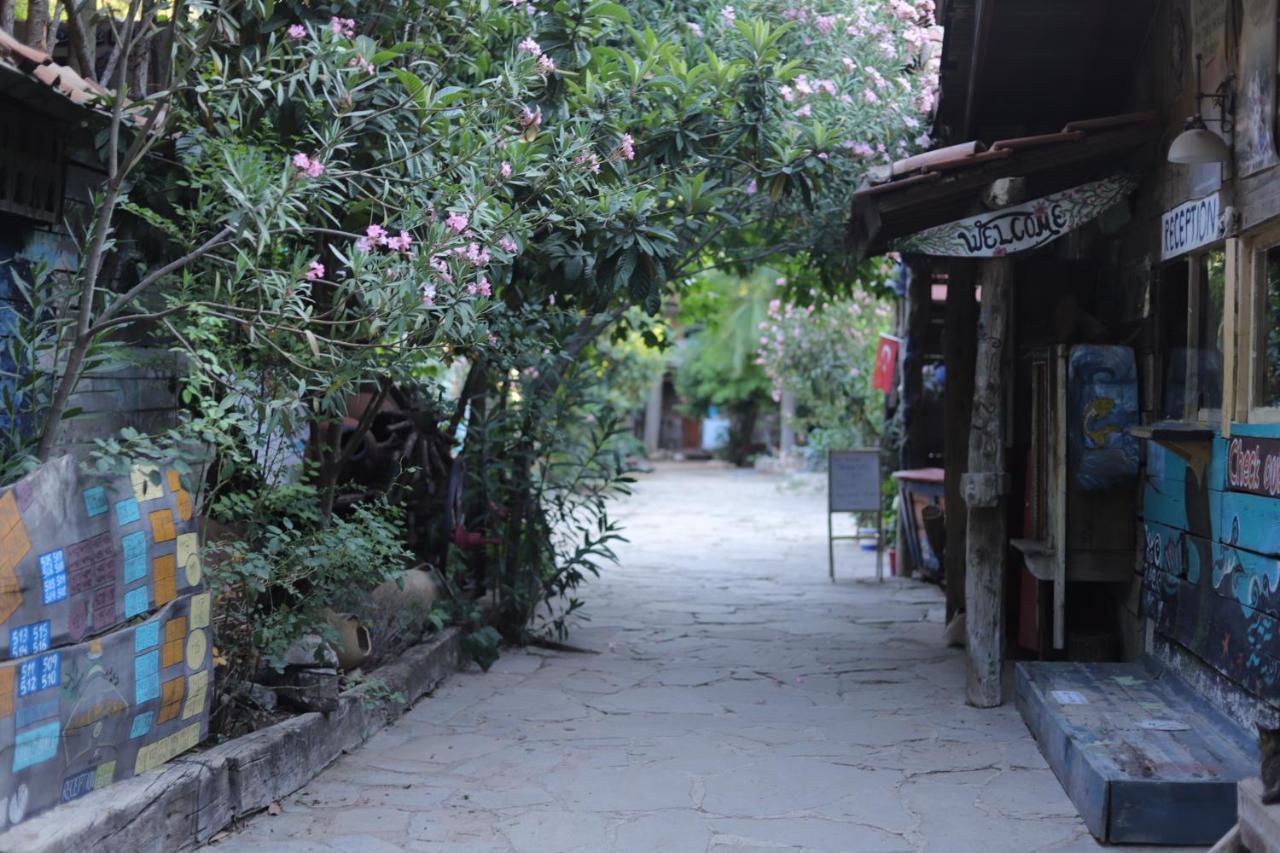 Kadir'S Top Tree Houses โอลิมปอส ภายนอก รูปภาพ
