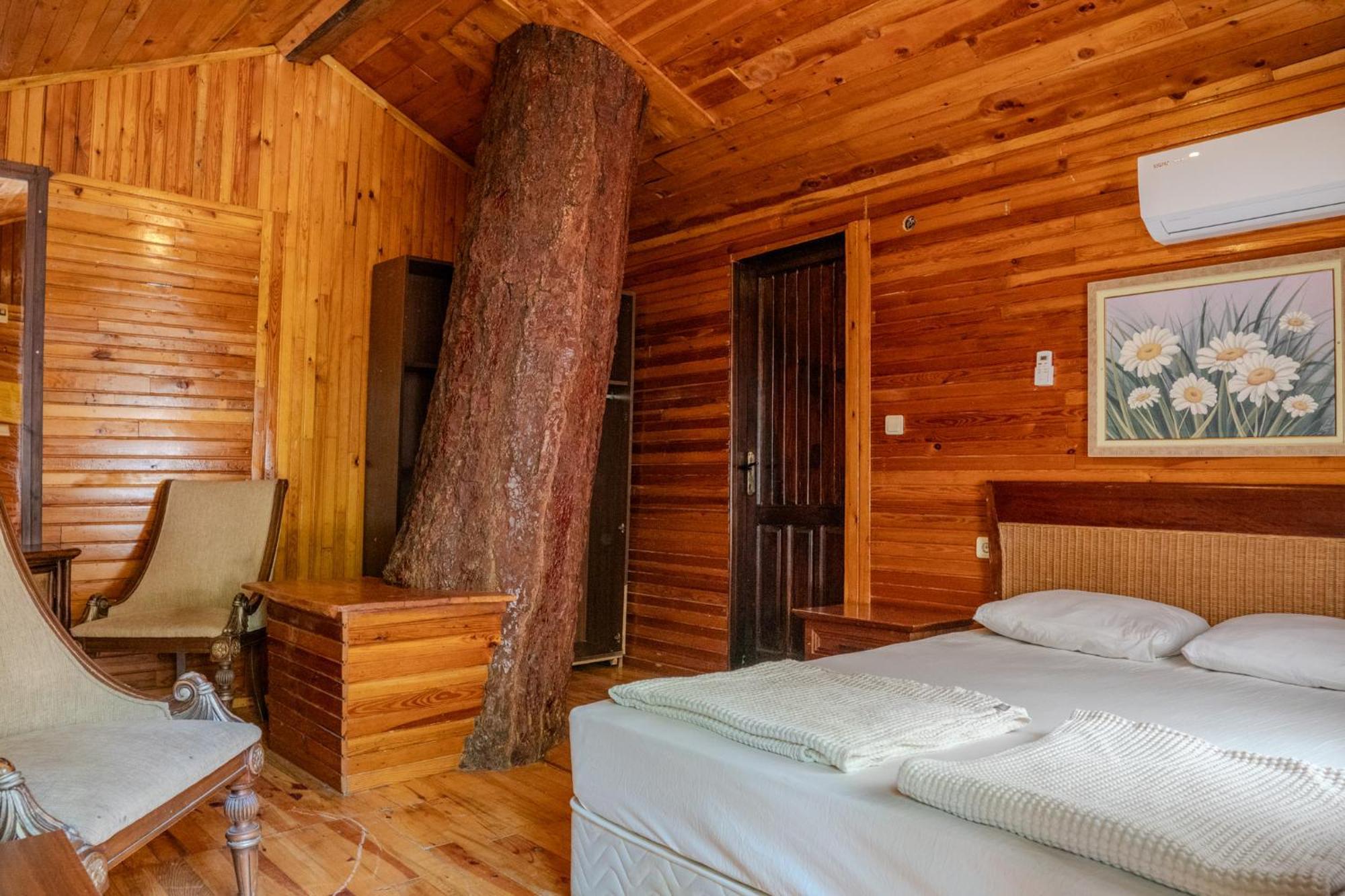 Kadir'S Top Tree Houses โอลิมปอส ภายนอก รูปภาพ