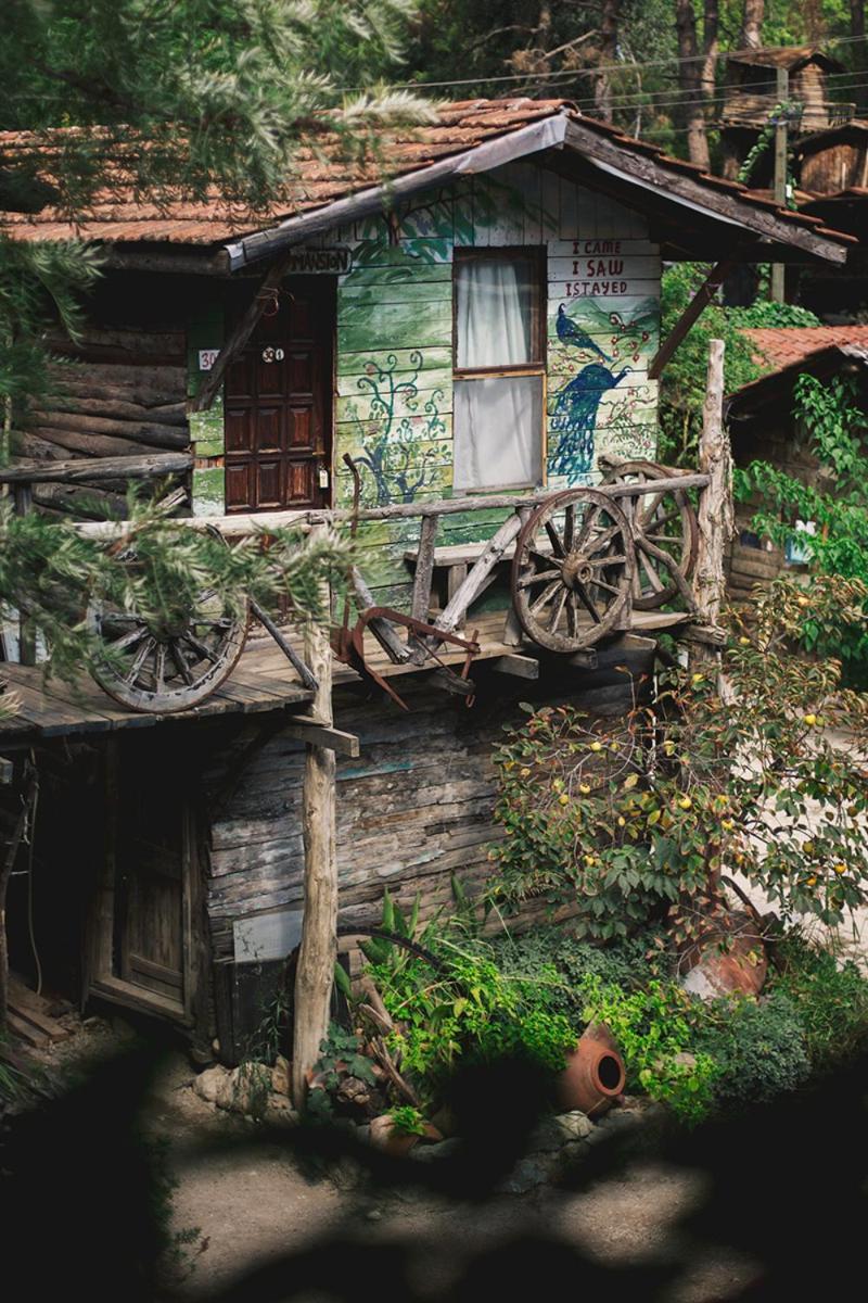 Kadir'S Top Tree Houses โอลิมปอส ภายนอก รูปภาพ