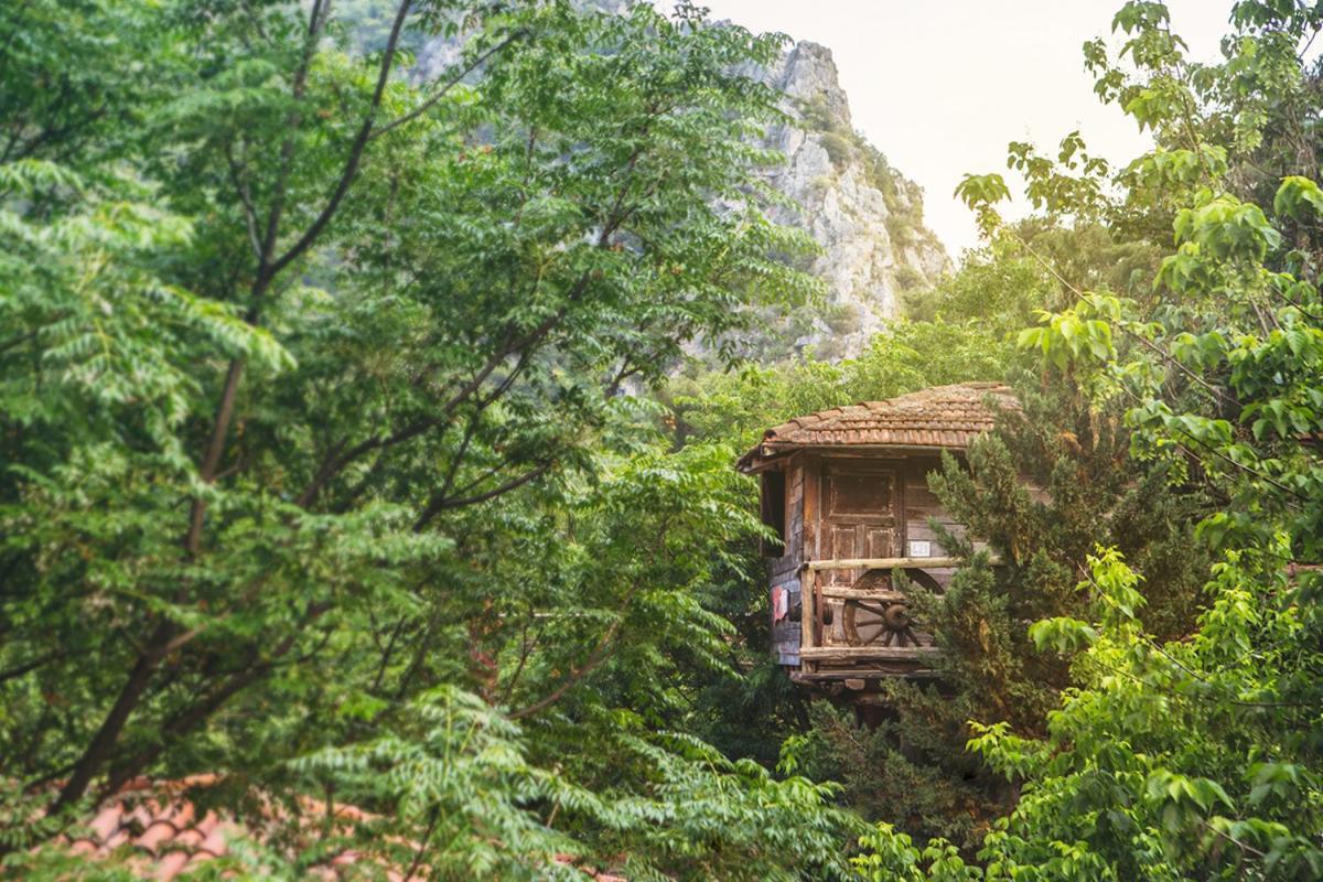 Kadir'S Top Tree Houses โอลิมปอส ภายนอก รูปภาพ