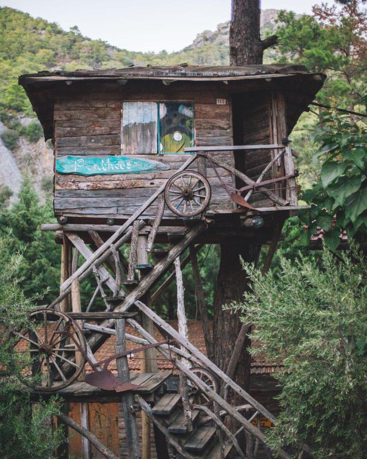 Kadir'S Top Tree Houses โอลิมปอส ภายนอก รูปภาพ