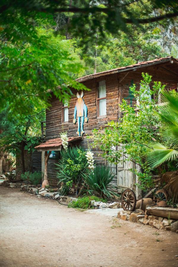 Kadir'S Top Tree Houses โอลิมปอส ภายนอก รูปภาพ